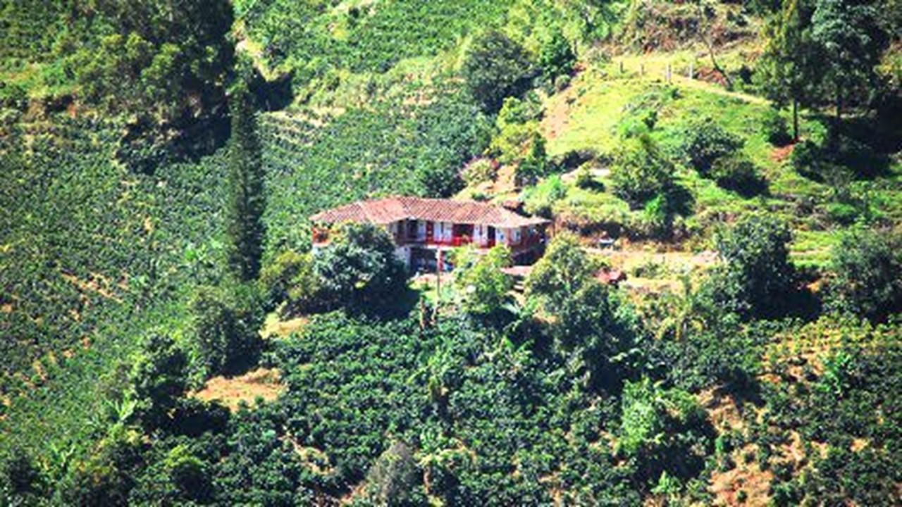 miles destinos, turismo, pasadias, transporte en ibagué, colombia